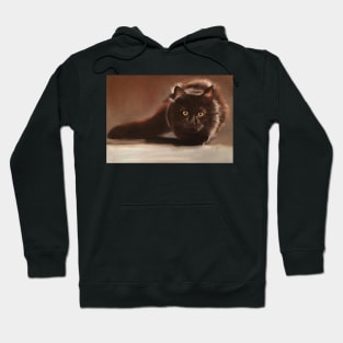 chocolate cat Hoodie